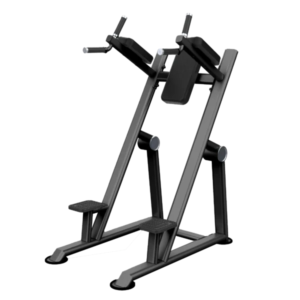VERTICAL KNESS UP/DIP - PRO SERIES